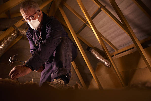 Best Geographic-Specific Insulation Services in Pinetop Country Clu, AZ